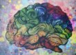 Rewiring Mind and Brain